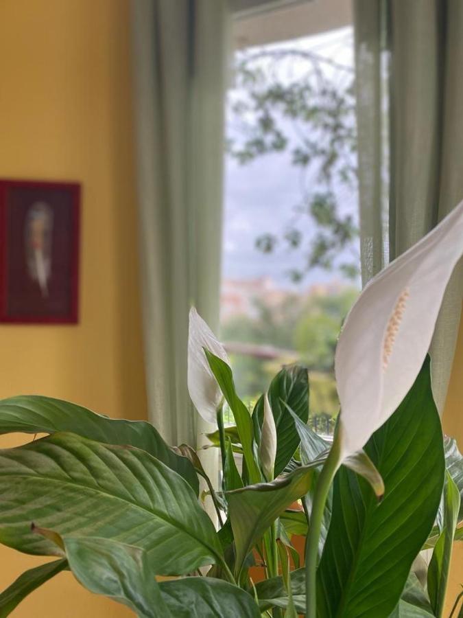 Art Apartment Julia Calpe Kültér fotó
